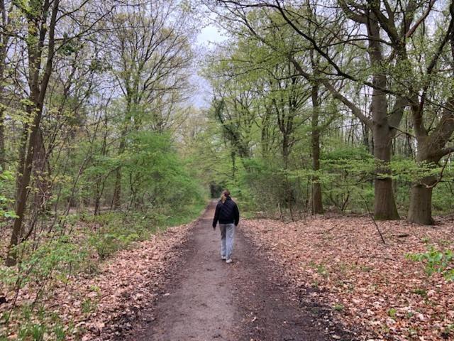 Stacaravan Huren In Het Hart Van Bosrijk Drenthe Op Recreatiepark De Tien Heugten 슌로 외부 사진