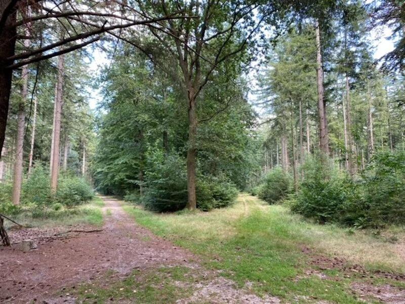 Stacaravan Huren In Het Hart Van Bosrijk Drenthe Op Recreatiepark De Tien Heugten 슌로 외부 사진