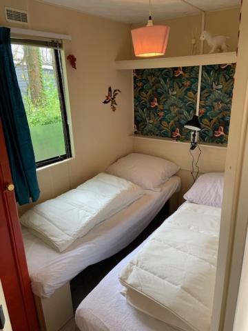 Stacaravan Huren In Het Hart Van Bosrijk Drenthe Op Recreatiepark De Tien Heugten 슌로 외부 사진